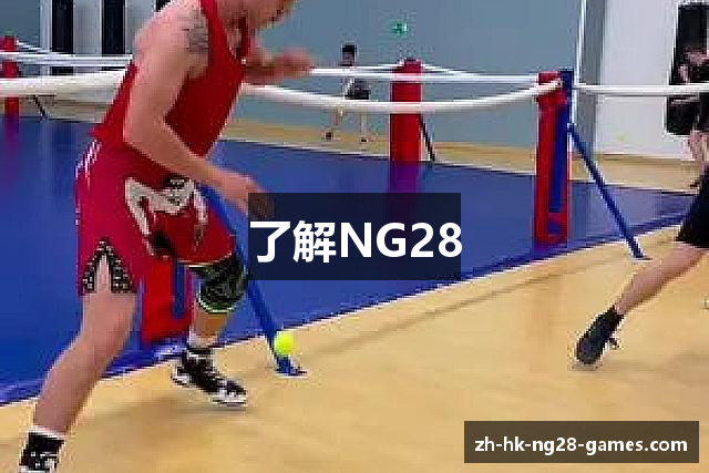 了解NG28